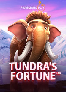 เล่นพนันบอล เล่นยังไง ให้ชนะง่ายๆ